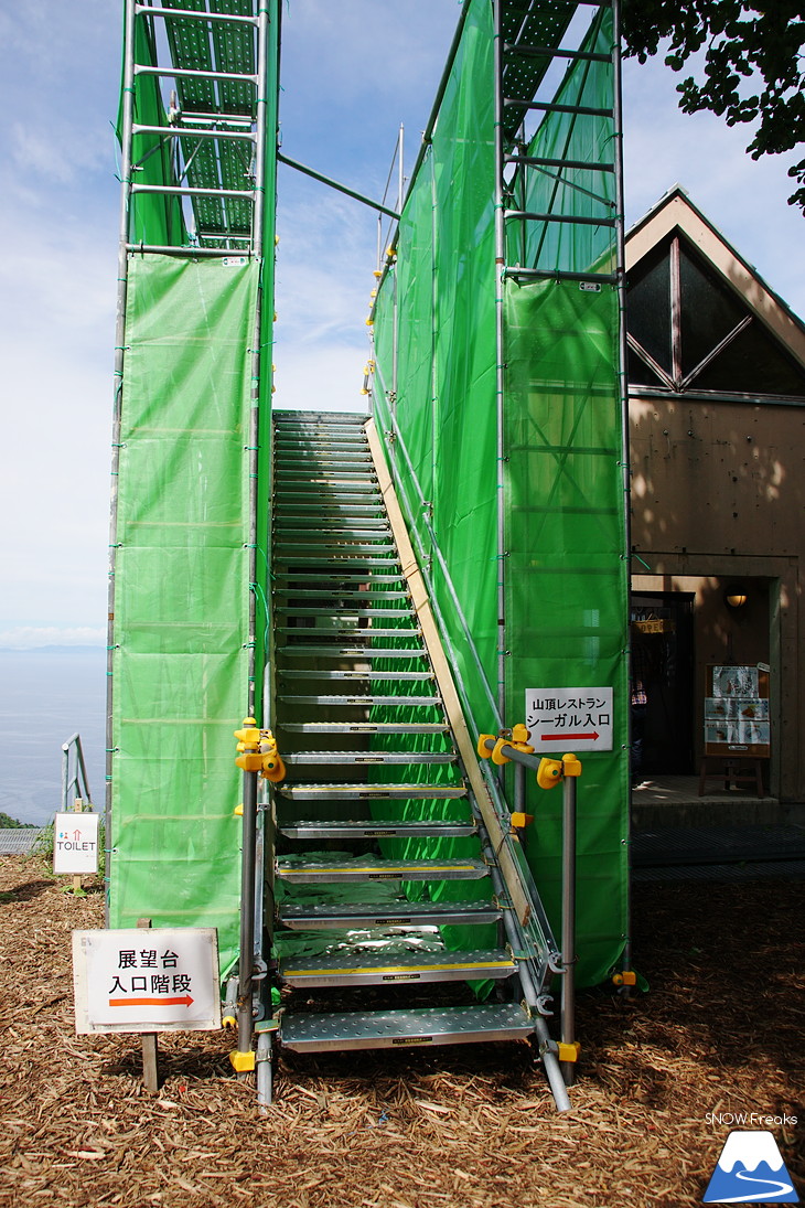オーンズ春香山ゆり園 今年も綺麗な『ゆり』のシーズン到来♪